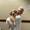 Illustration : La chanteuse Pink recueille un chien de refuge pendant sa tournée et le met en lumière pour qu’il trouve une famille