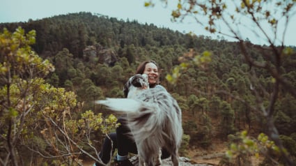 Illustration : Le hasard met une chienne sur la route d’une famille et elle devient sa plus fidèle amie 