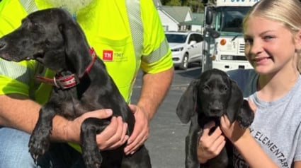 Illustration : Un employé chargé de l'entretien des routes endommagées par un ouragan découvre un chiot et sa mère sans savoir qu'on les cherchait depuis une semaine (vidéo)