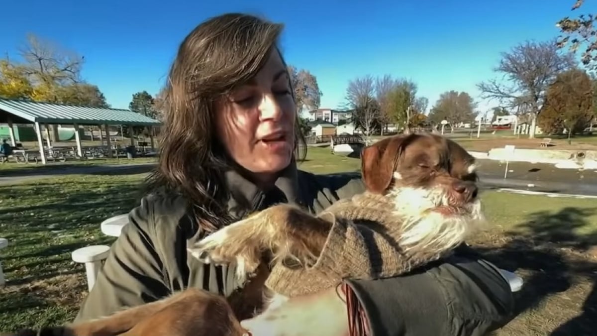 Illustration : "Une femme indignée en découvrant que quelqu’un a volé le fauteuil roulant de son chien"