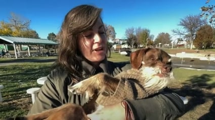 Illustration : Une femme indignée en découvrant que quelqu’un a volé le fauteuil roulant de son chien