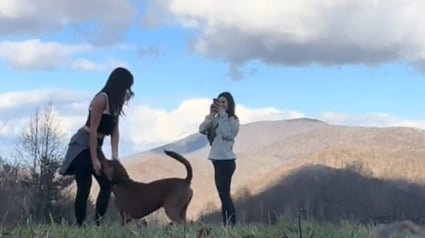 Illustration : Inquiètes à l'idée de partir seules en randonnée, 2 jeunes femmes sont rassurées de se faire escorter par un adorable chien inconnu (vidéo)