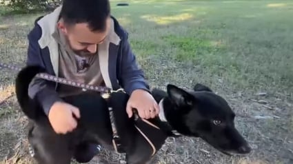 Illustration : L'acte héroïque d'un homme atteint de brûlures sévères en sauvant son chien de leur maison en flammes