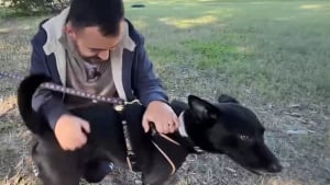 Illustration : L'acte héroïque d'un homme atteint de brûlures sévères en sauvant son chien de leur maison en flammes