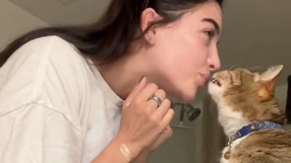 Illustration : Une femme avoue ne pas souffrir de son célibat car elle a un chat très amoureux à ses côtés toute la journée (vidéo)