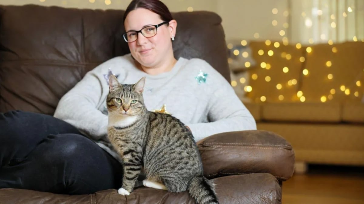 Illustration : "Par un revirement de situation inespéré, ce chat est passé d’un logement insalubre à une maison chaleureusement décorée pour Noël"