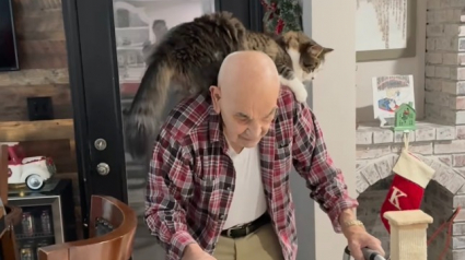 Illustration : Ce chat ne se gêne pas pour utiliser son gentil grand-père de 91 ans comme son chauffeur de taxi personnel (vidéo)