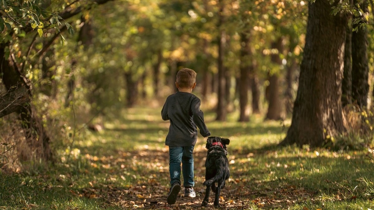 Illustration : "L'intervention héroïque d'un chien empêche un individu de kidnapper un enfant de 3 ans qui jouait dans le jardin"