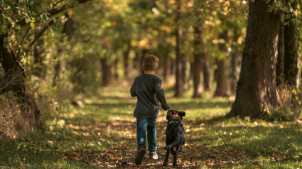 Illustration : L'intervention héroïque d'un chien empêche un individu de kidnapper un enfant de 3 ans qui jouait dans le jardin