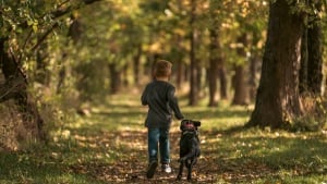 Illustration : "L'intervention héroïque d'un chien empêche un individu de kidnapper un enfant de 3 ans qui jouait dans le jardin"