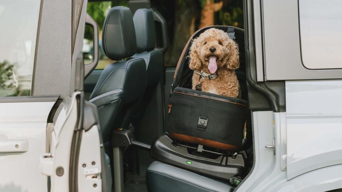 Illustration : "Permettez à votre animal de voyager confortablement et en toute sécurité grâce aux sacs de transport Tavo Pets"