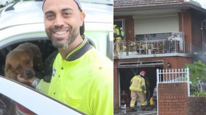 Illustration : Un chien coincé dans une maison en flammes survit grâce à l'acte héroïque d'un passant qui lui offre aussi l'hospitalité