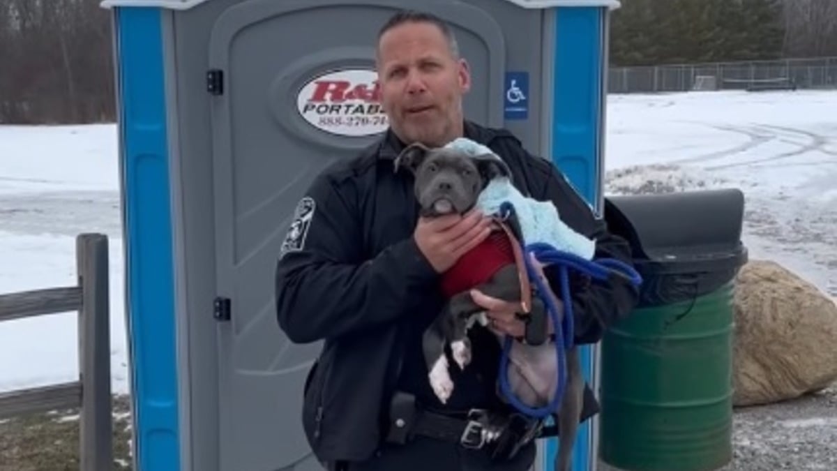 Illustration : "Après le sauvetage d'un chiot abandonné dans une cabine de WC publique, la police donne de ses nouvelles et annonce une arrestation"