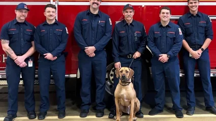 Illustration : Un chien fait une surprise aux pompiers qui l'ont sauvé d'un lac gelé en leur rendant visite à la caserne