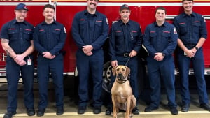 Illustration : "Un chien fait une surprise aux pompiers qui l'ont sauvé d'un lac gelé en leur rendant visite à la caserne"