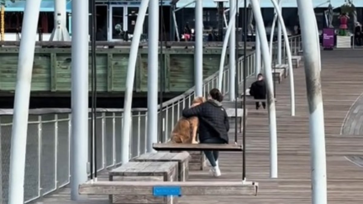 Illustration : "Touchée par un moment de tendresse partagé entre un chien et sa maîtresse, une passante filme la scène en espérant qu'il 