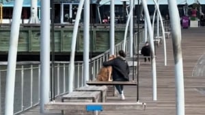 Illustration : "Touchée par un moment de tendresse partagé entre un chien et sa maîtresse, une passante filme la scène en espérant qu'il 