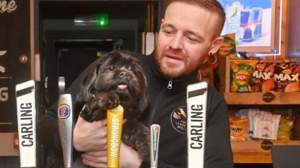 Illustration : Un chien orphelin après un accident de voiture se réfugie dans un bar et touche le cœur du patron des lieux