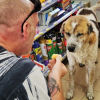 Illustration : Un chien errant terrifié par un feu d'artifice se réfugie dans un magasin où un client se prend d'affection pour lui