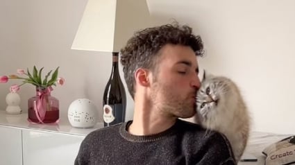 Illustration : La relation entre son chat Sibérien et son petit ami rendrait presque jalouse cette jeune maman qui documente avec humour son quotidien (vidéo)