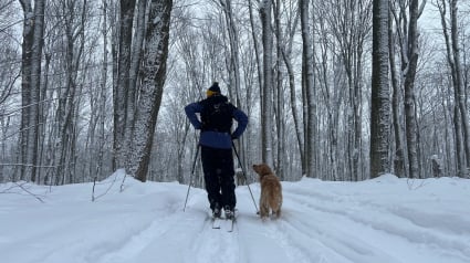 Illustration : Sauvé par sa chienne après un grave accident de ski, cet homme a échappé de peu à une fin tragique