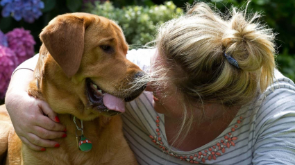 Illustration : Des centaines de personnes accompagnent un chien guide malade lors de son ultime promenade