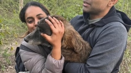 Illustration : Un couple dort dans sa voiture et dépense de grosses sommes pour retrouver sa chienne bien-aimée (vidéo)