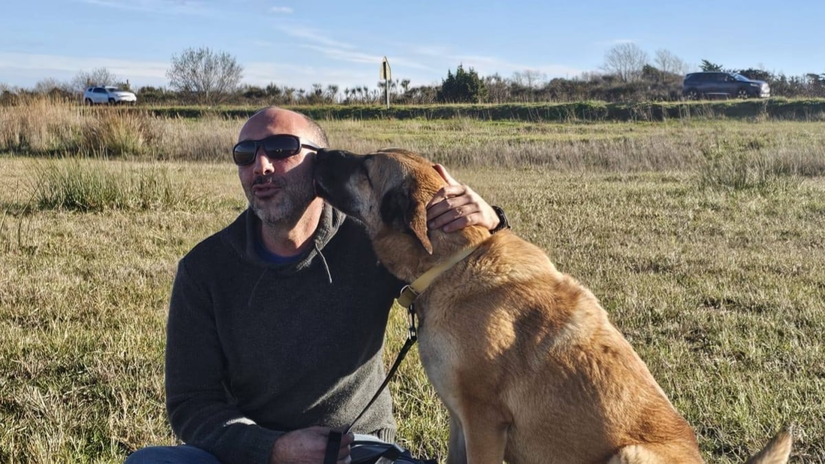 Illustration : "De menuisier à éducateur, cet homme a tout quitté pour aider les chiens en détresse"