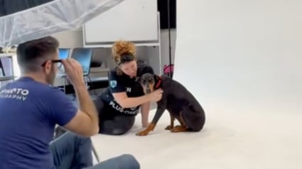 Illustration : Lors d’un shooting photo, cette chienne dévoile une posture assise jamais vue auparavant (vidéo)