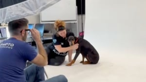 Illustration : "Lors d’un shooting photo, cette chienne dévoile une posture assise jamais vue auparavant (vidéo)"