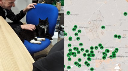 Illustration : La cartographie des escapades d’un chat baroudeur révèle une double vie insoupçonnée (vidéo)