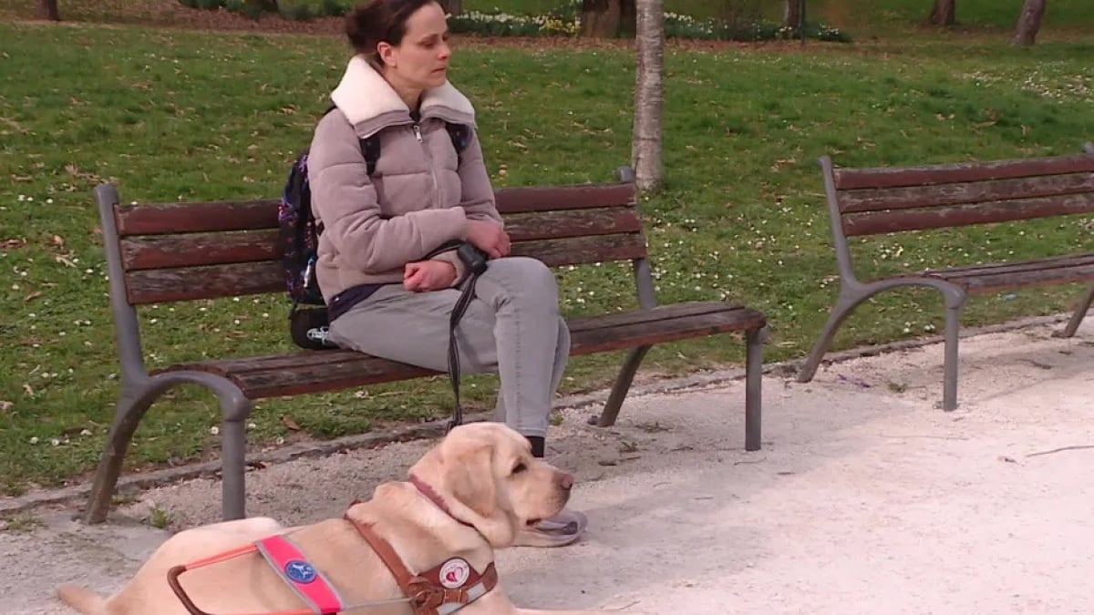 Illustration : "Une femme malvoyante accompagnée de son chien guide se voit refuser l’accès à une épicerie "