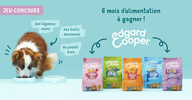 Illustration du jeu-concours Edgard & Cooper